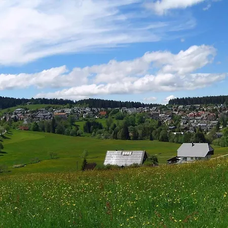 Haus Muehlenfranzenhof Апартаменты